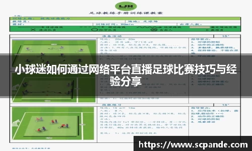 小球迷如何通过网络平台直播足球比赛技巧与经验分享